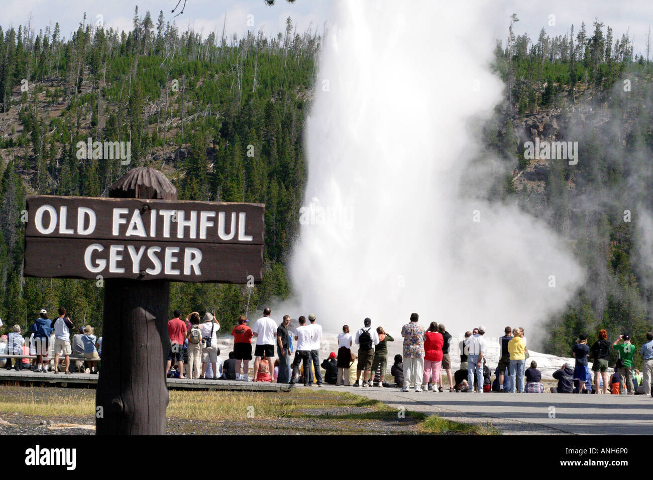 Geyser Old Faithful, il Parco Nazionale di Yellowstone Foto Stock