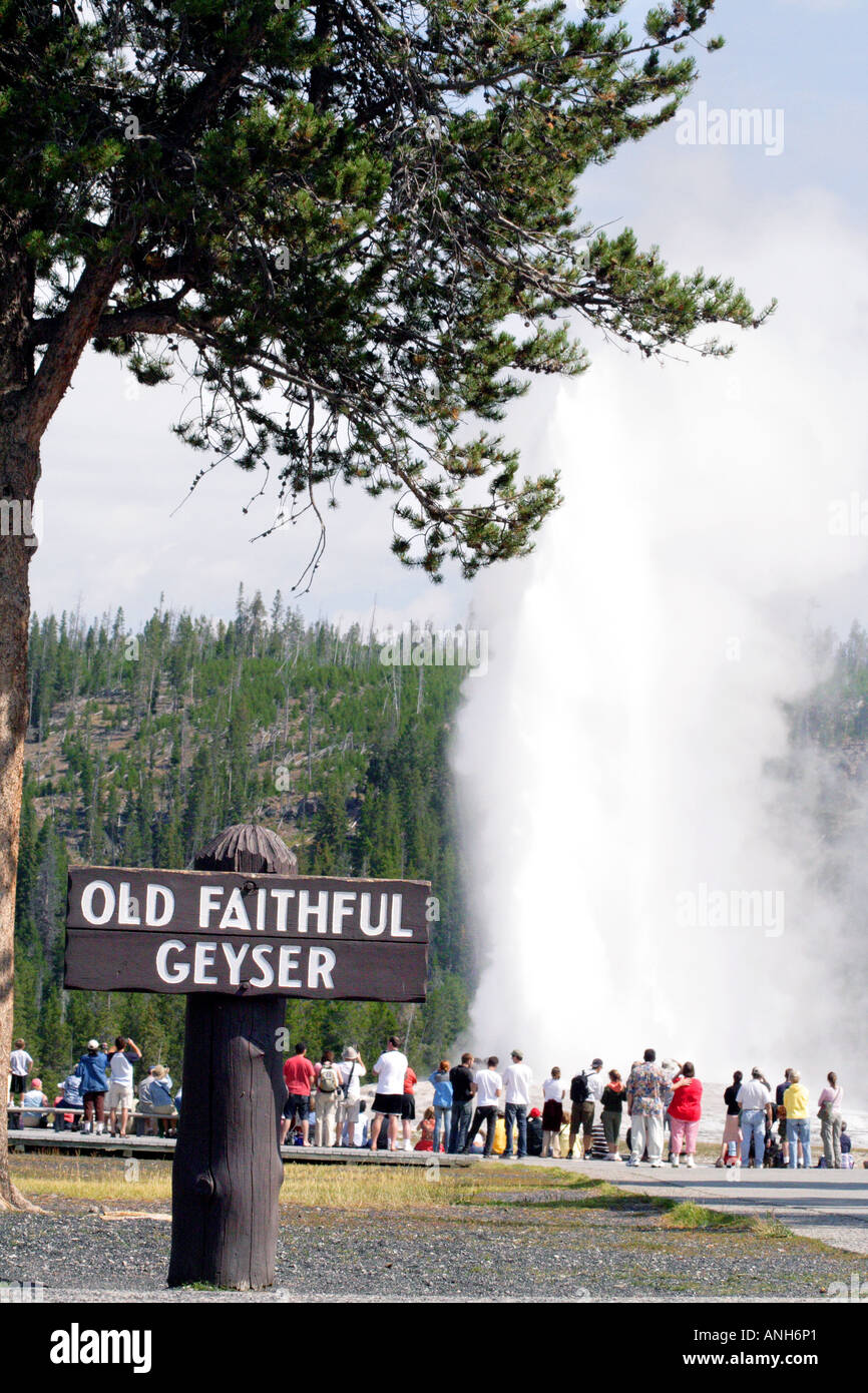 Geyser Old Faithful, il Parco Nazionale di Yellowstone Foto Stock
