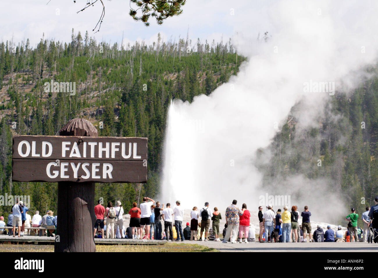 Geyser Old Faithful, il Parco Nazionale di Yellowstone Foto Stock