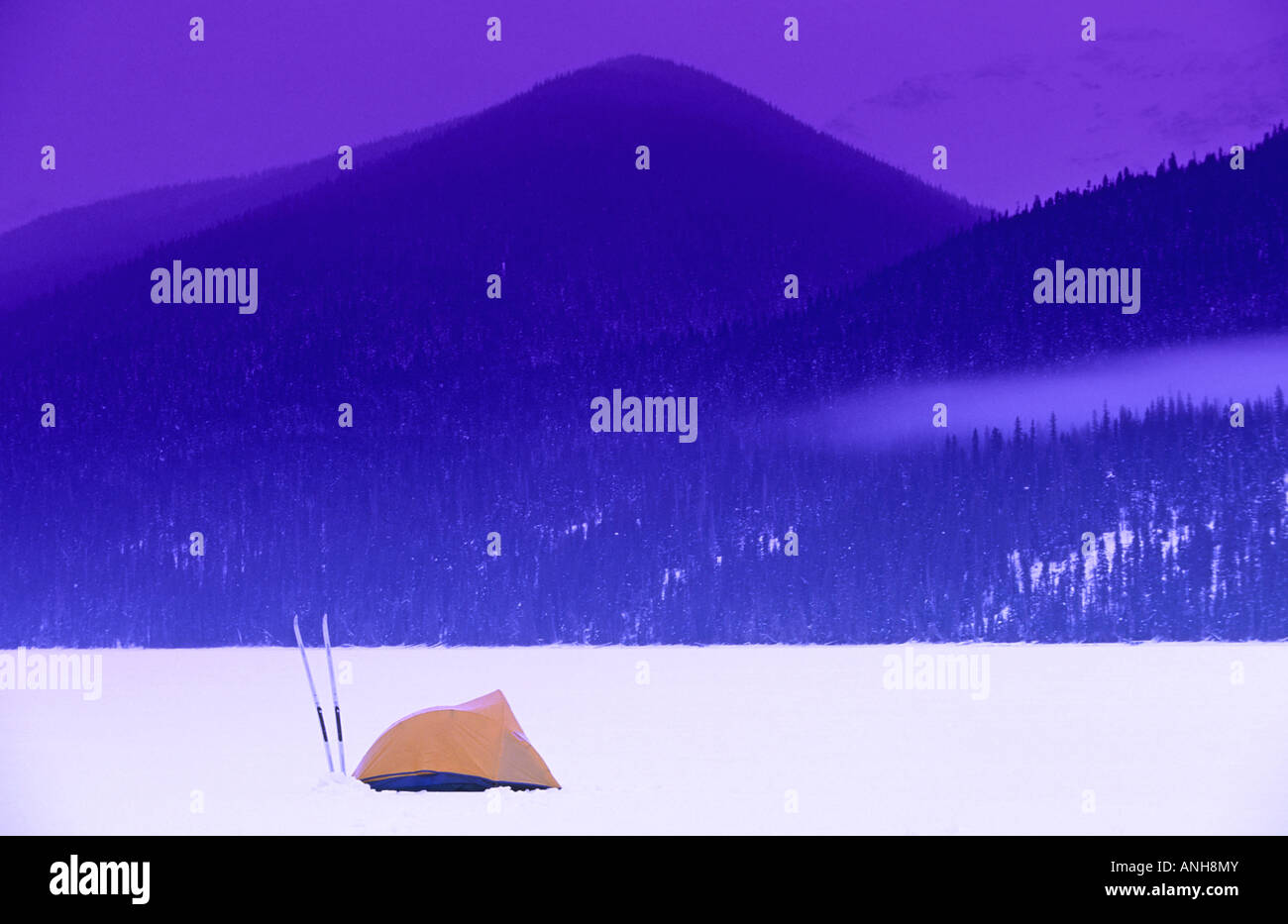 Backcountry sciatori" tenda si illumina sulla superficie ghiacciata del lago Indianpoint al crepuscolo in inverno, Bowron Laghi Parco Provinciale, Br Foto Stock