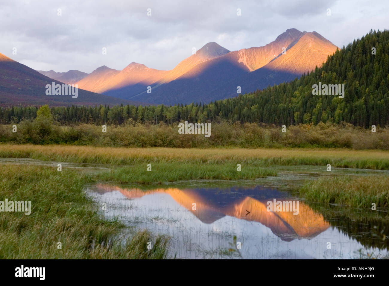 Bowron Lake Provincial Park, British Columbia, Canada. Foto Stock
