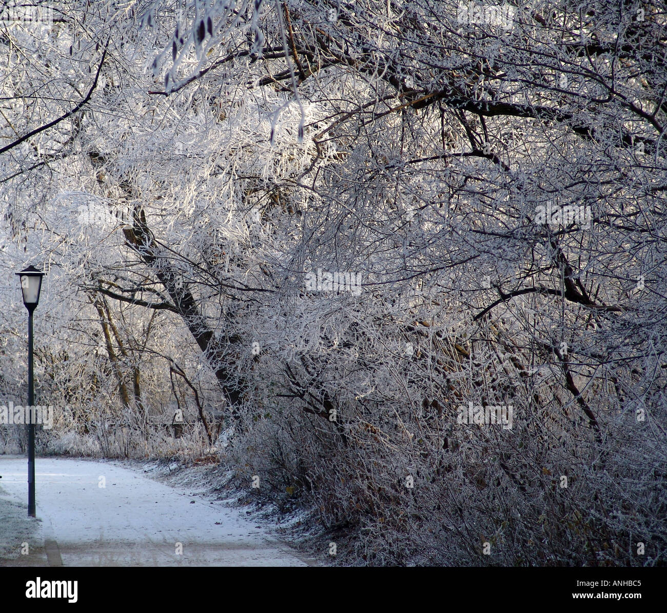 Paesaggio invernale, il percorso nella neve e strada lampada, Garching Germania Foto Stock