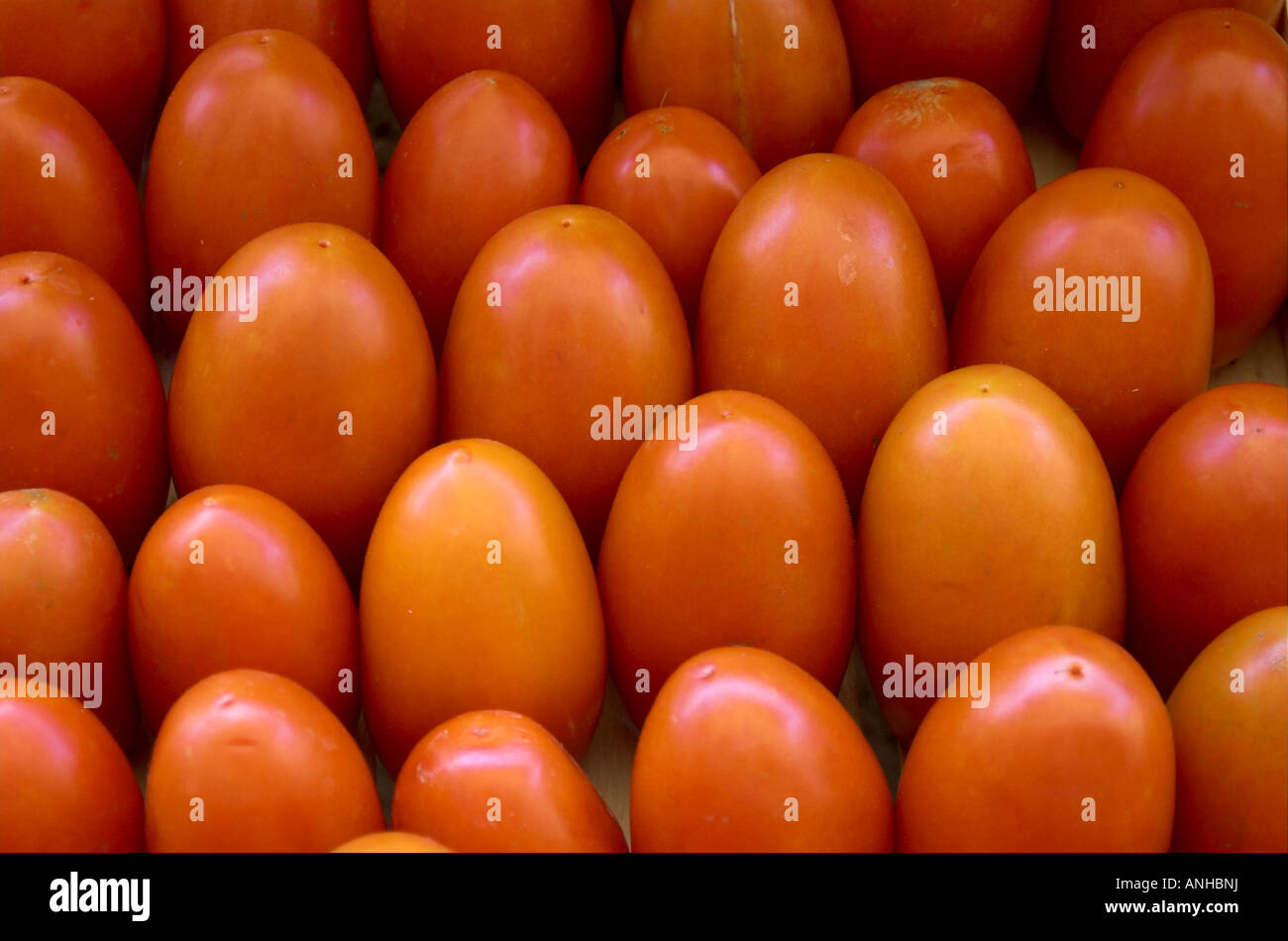 ,L'Italia, alimenti biologici, ,della salute alimentare, pomodoro organico, vegetali ,vitamine Foto Stock