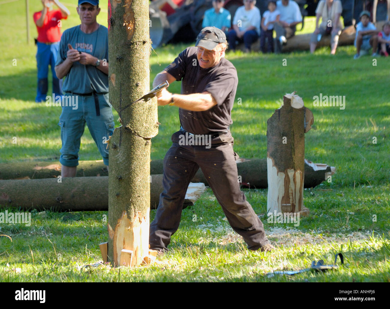 Un taglialegna, tritare giù un albero in un taglialegna' concorrenza, tritare contro l'orologio. Foto Stock