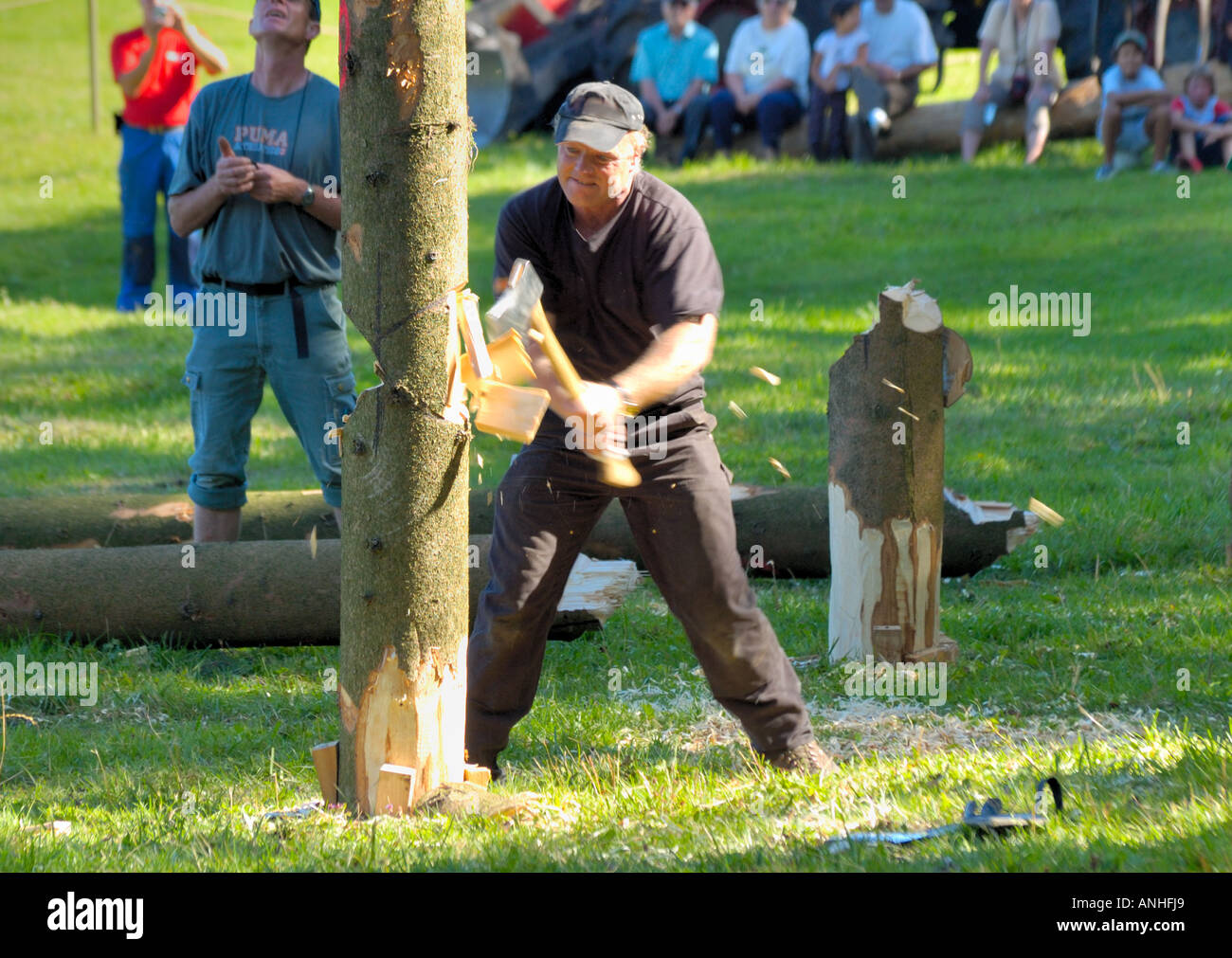 Un taglialegna, tritare giù un albero in un taglialegna' concorrenza, tritare contro l'orologio. Foto Stock