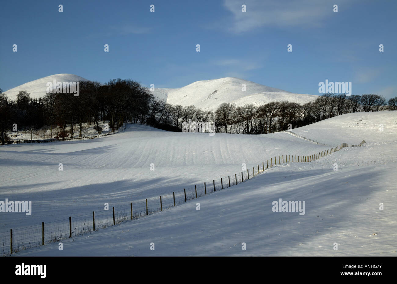 Coperta di neve Pentland Hills in background con un recinto che conduce l'occhio attraverso terreni agricoli in primo piano Midlothian, Scozia Foto Stock