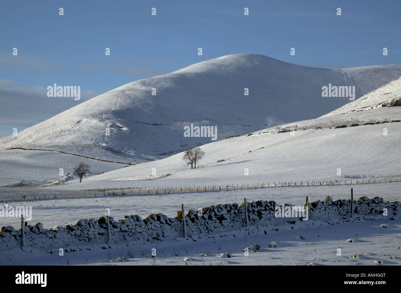 Coperta di neve Pentland Hills in inverno con due alberi e muro di pietra in foregound, Midlothian, Scotland, Regno Unito, Europa Foto Stock