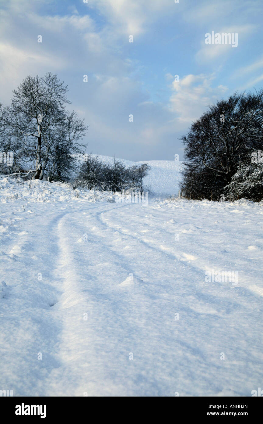 Coperta di neve campo guardando verso di uscita o di entrata su terreni agricoli, Midlothian, Scotland, Regno Unito, Europa Foto Stock