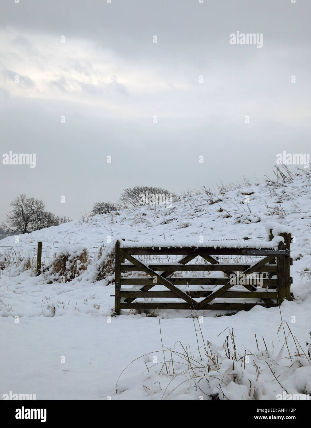 Studio monocromatica di una coperta di neve gate e campo su terreni agricoli, Midlothian, Scotland, Regno Unito, Europa Foto Stock