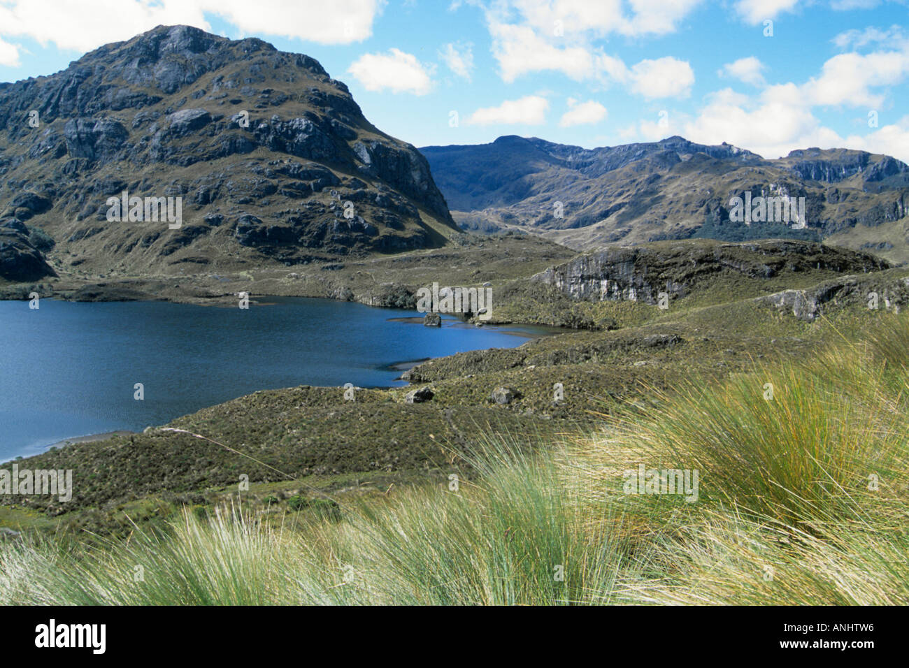 Ecuador Parque Nacional Cajas - paesaggio paesaggio Foto Stock