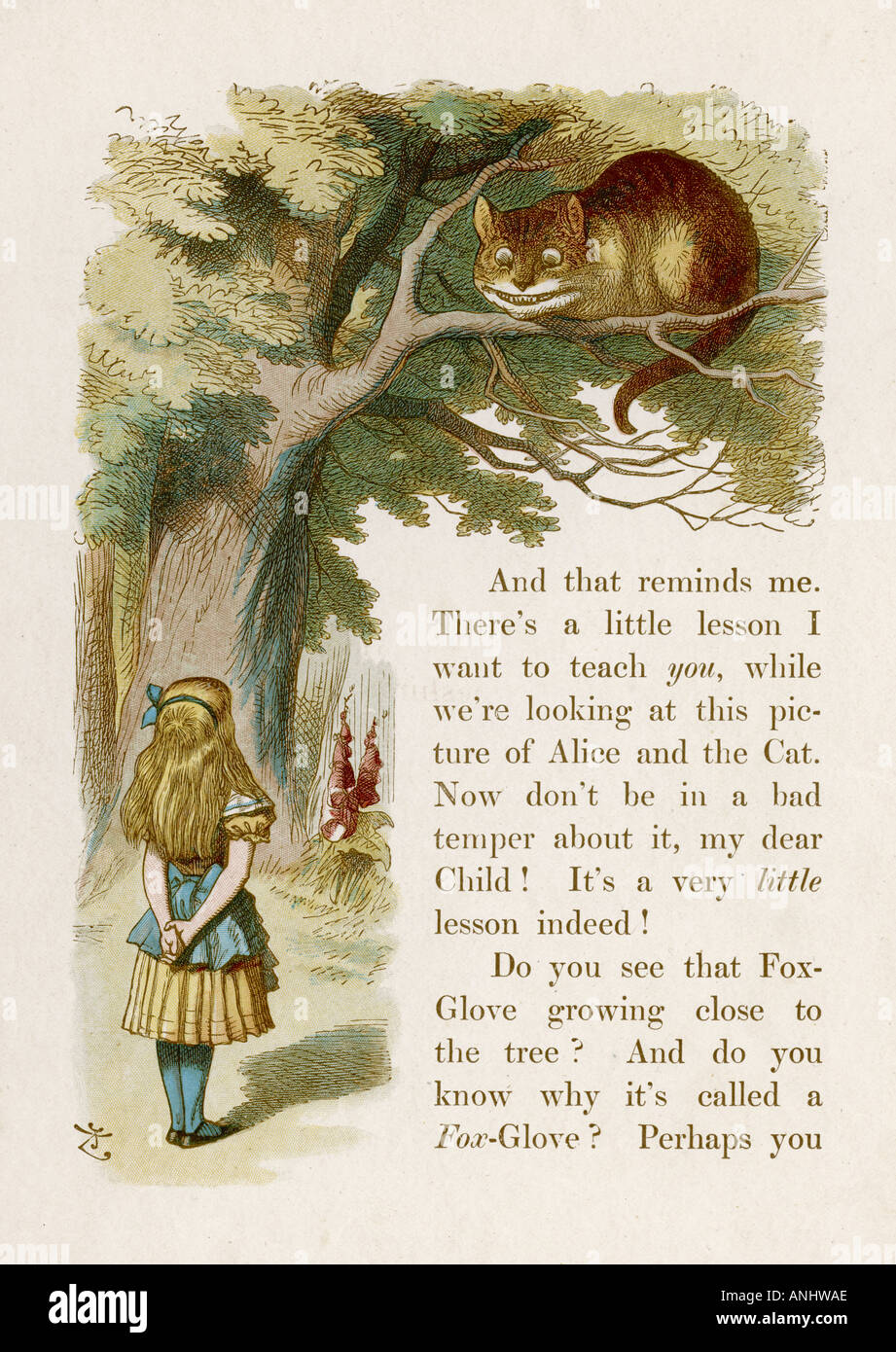 Carroll Cheshire cat Foto Stock