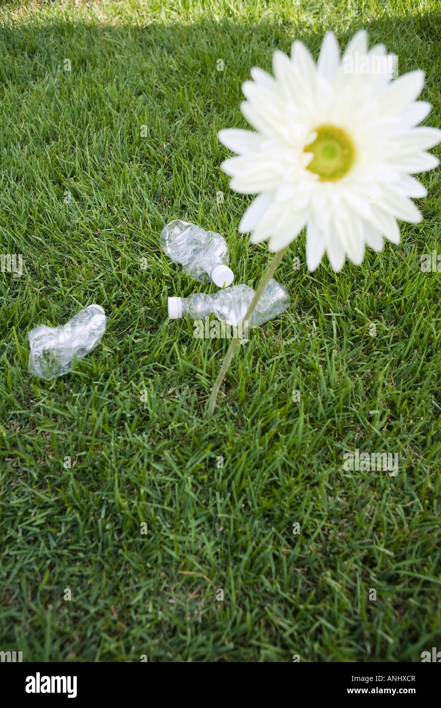 Fiore cresce accanto a scartare le bottiglie di acqua, ad alto angolo di visione Foto Stock