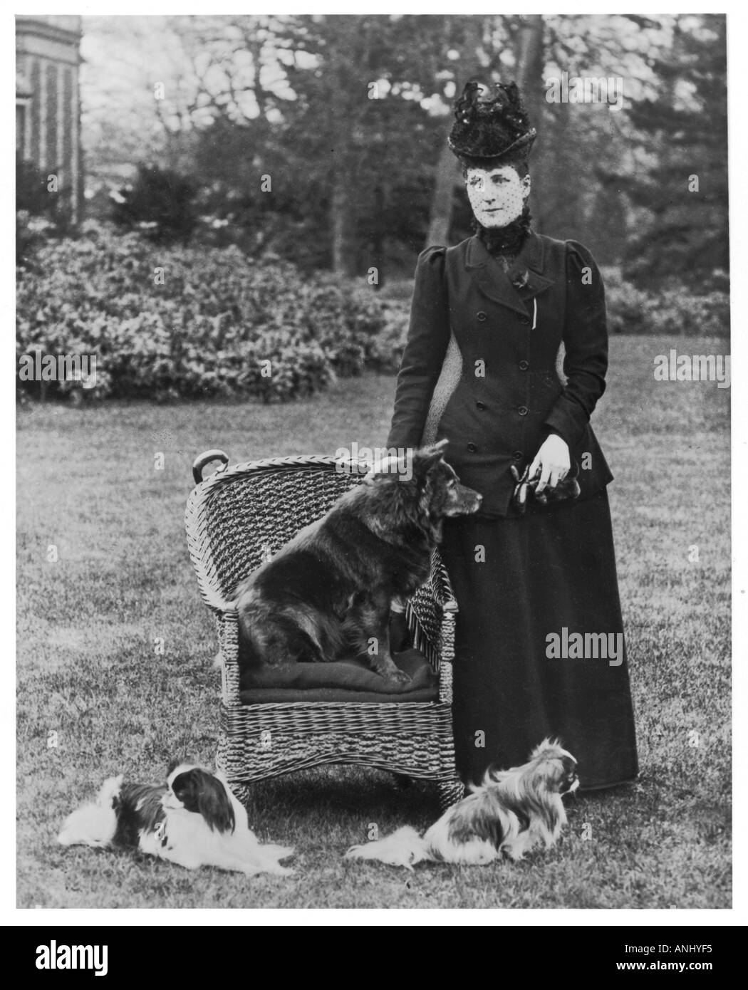 Caduta la Regina Alexandra cane Foto Stock