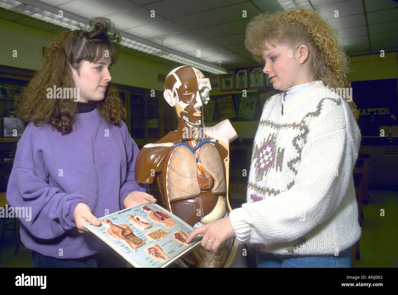 La scuola media di femmine studiare anatomia nella classe di scienze Foto Stock