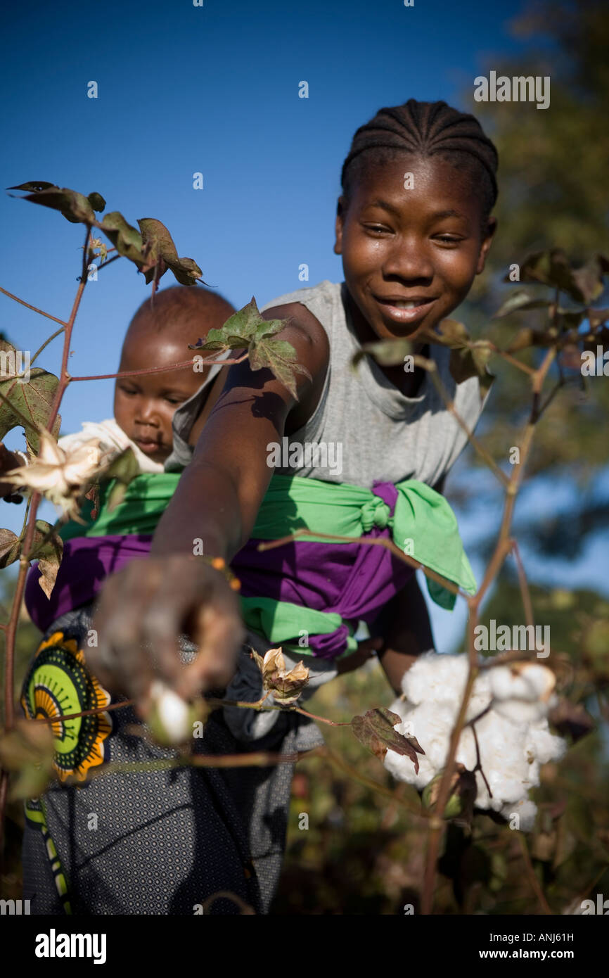 Souko Marouba 18 coltivatore di cotone Foto Stock