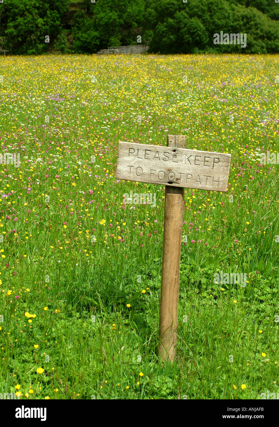 Si prega di rispettare la segnaletica Footpath in Wild Flower Meadow, Swaledale, Yorkshire Dales National Park, Regno Unito Foto Stock