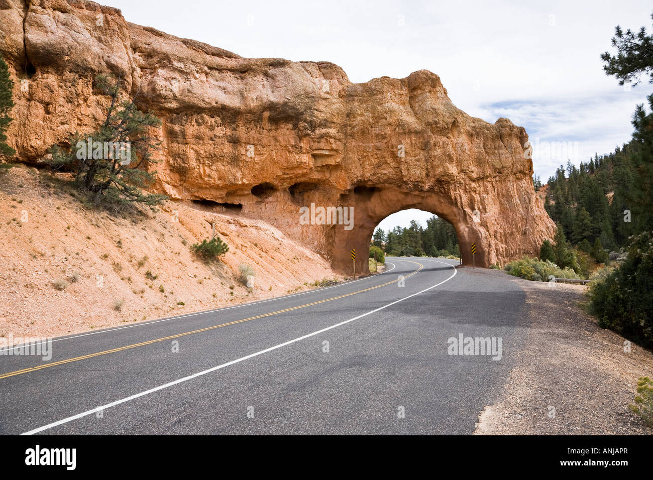 Il tunnel per il Parco Nazionale di Bryce Canyon Foto Stock