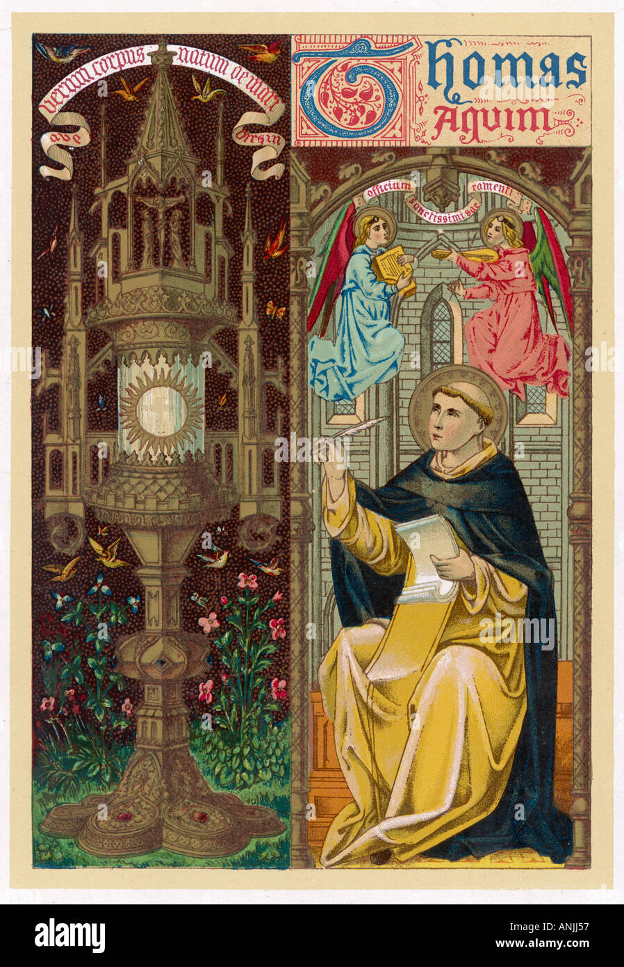 Thomas Aquinas Foto Stock