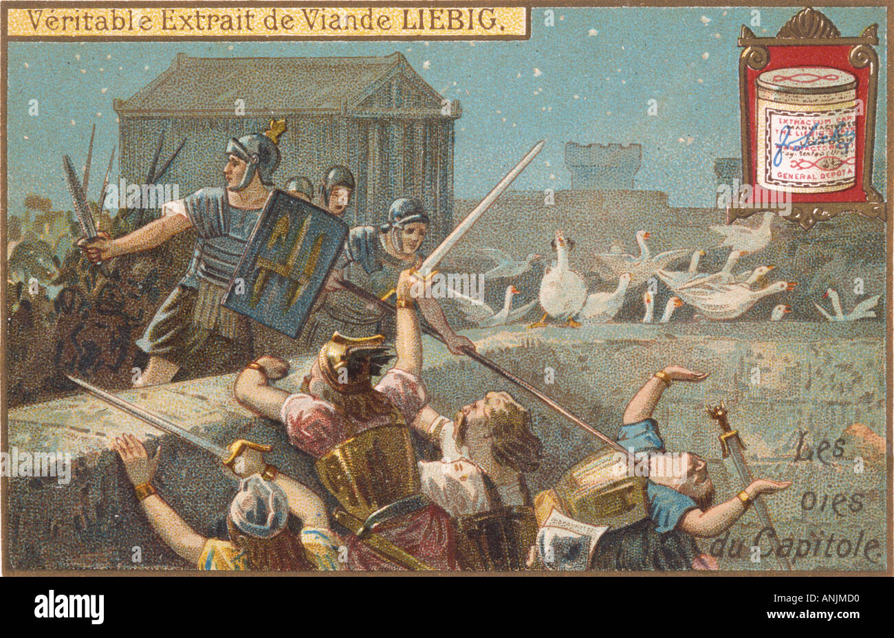 Oche avvertire Roma di Galli Foto Stock