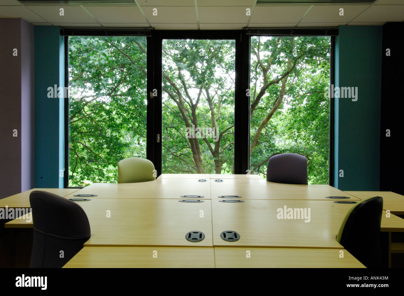 Un moderno edificio di uffici riunione vuota boardroom comitato camera con grande ufficiale di tavolo e sedie Foto Stock