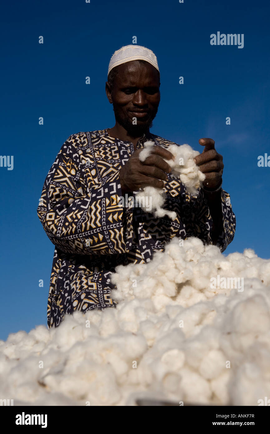 Moussa Keita fairtrade coltivatore di cotone Dogourakoroba Mali Foto Stock