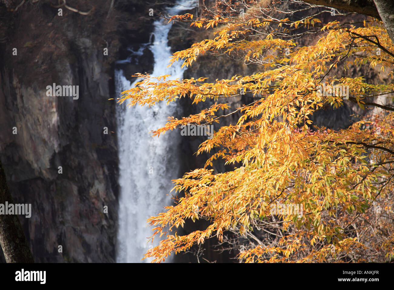 Kegon cade, Parco Nazionale di Nikko, Giappone Foto Stock