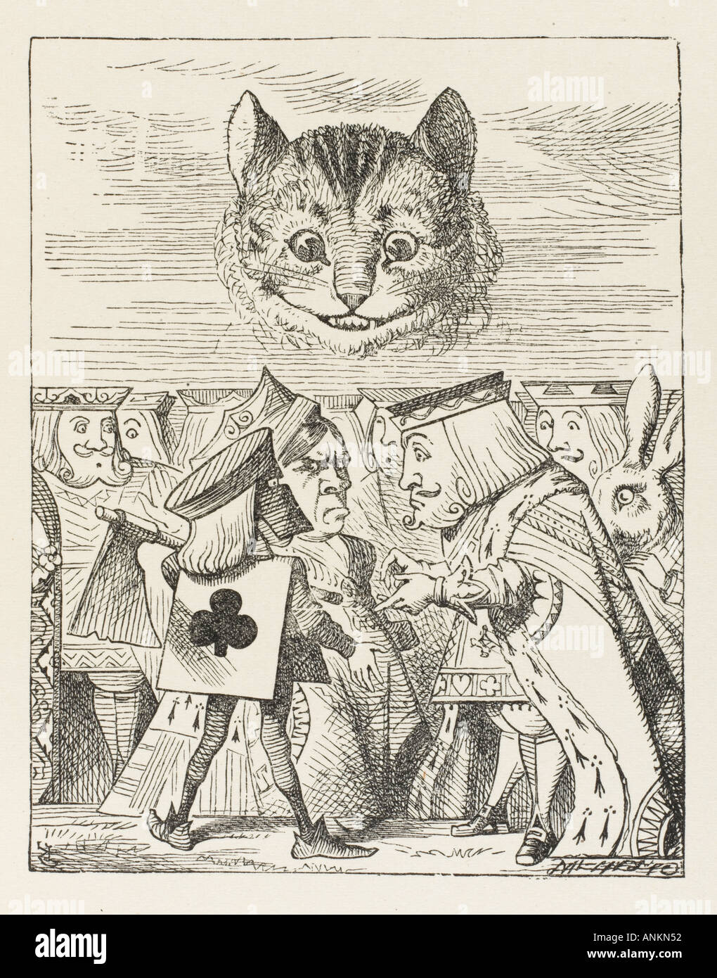 Cheshire testa Gatti Foto Stock