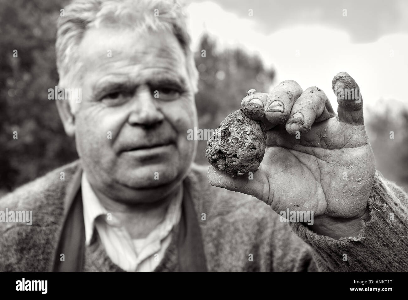 Cercatore di tartufo Murieta Navarra Spagna Foto Stock