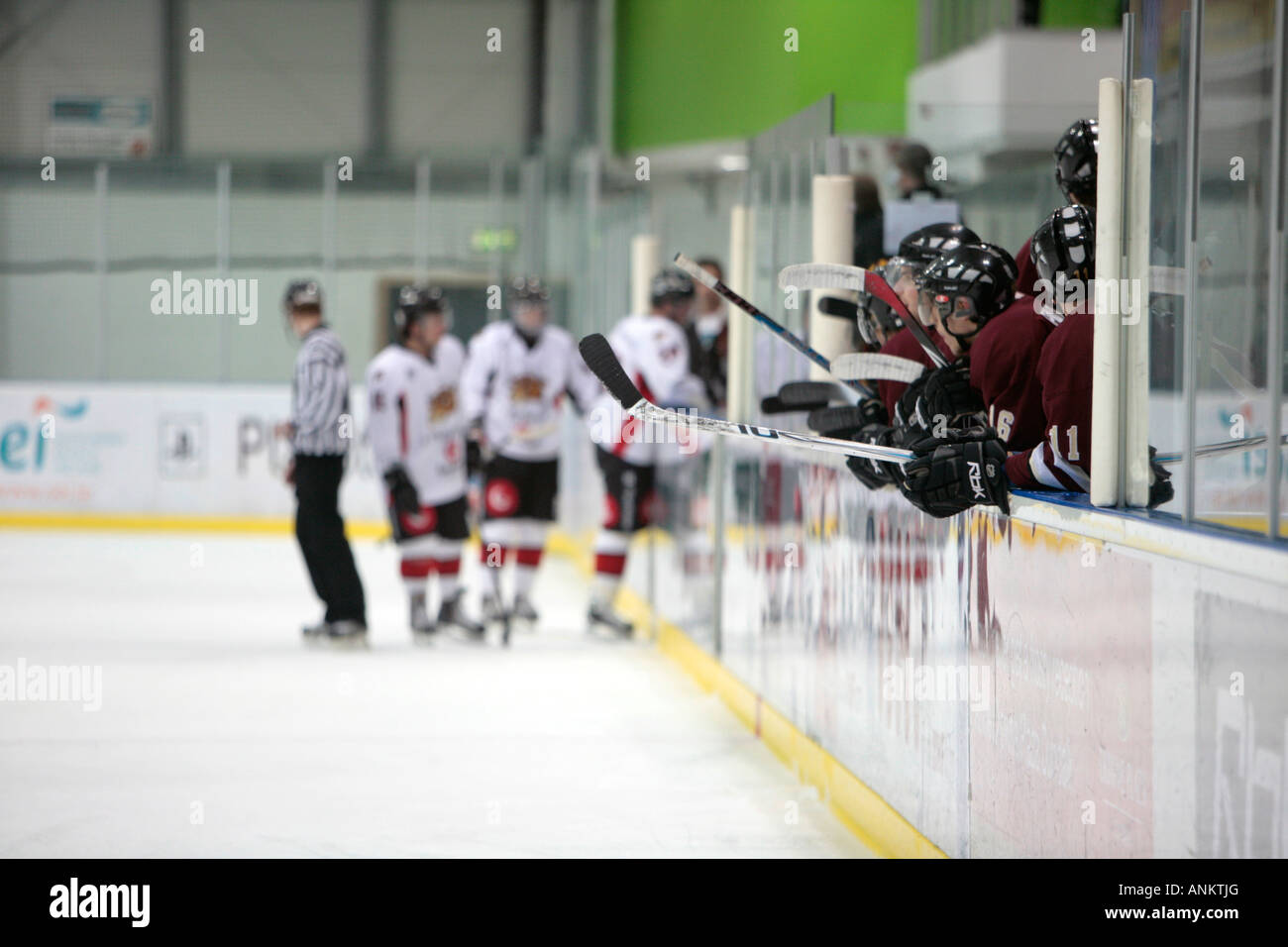 Concordia Stinger durante il banco espositivo amichevole partita contro la Dundalk tori a Dundalk Ice Bowl Dundalk Irlanda Foto Stock