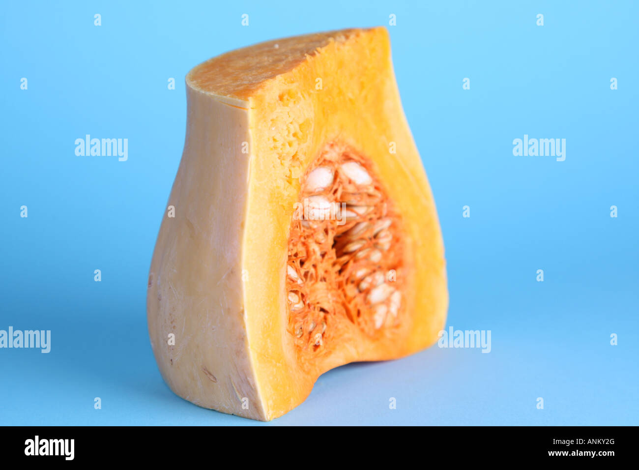 La zucca Foto Stock
