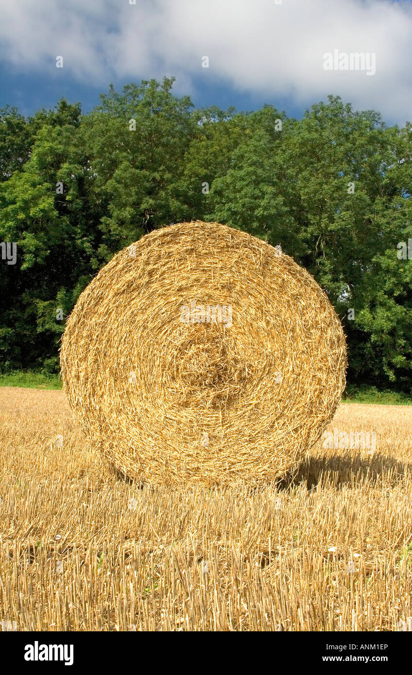 Immagine simmetrica di pagliaio e stubbles, estate, pomeriggio, Norfolk, Regno Unito Foto Stock