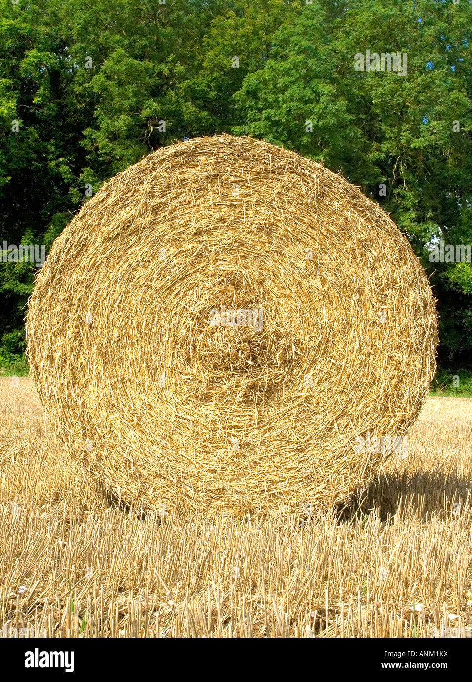 Immagine simmetrica di pagliaio e stubbles, estate, pomeriggio, Norfolk, Regno Unito Foto Stock