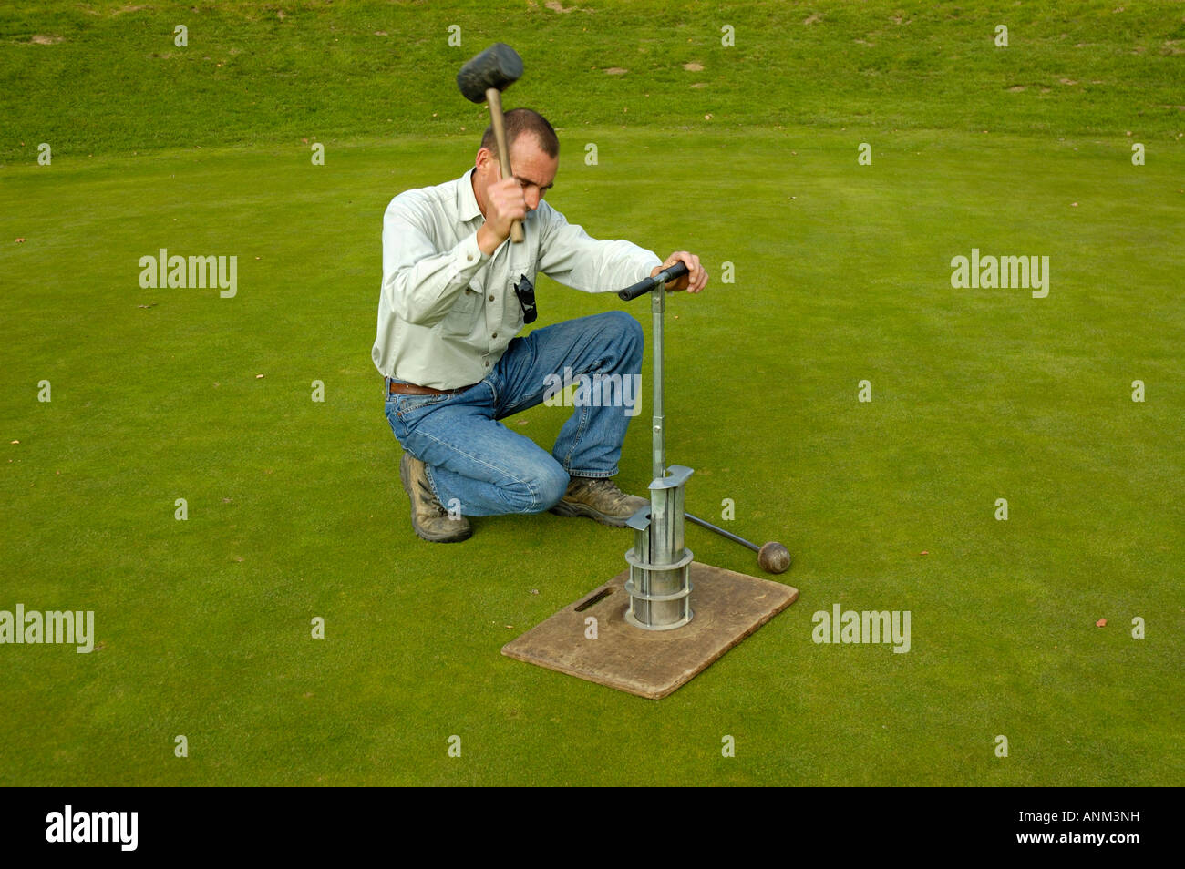 Capo verde-keeper rendendo il nuovo foro sul campo da golf di colore verde. Foto Stock