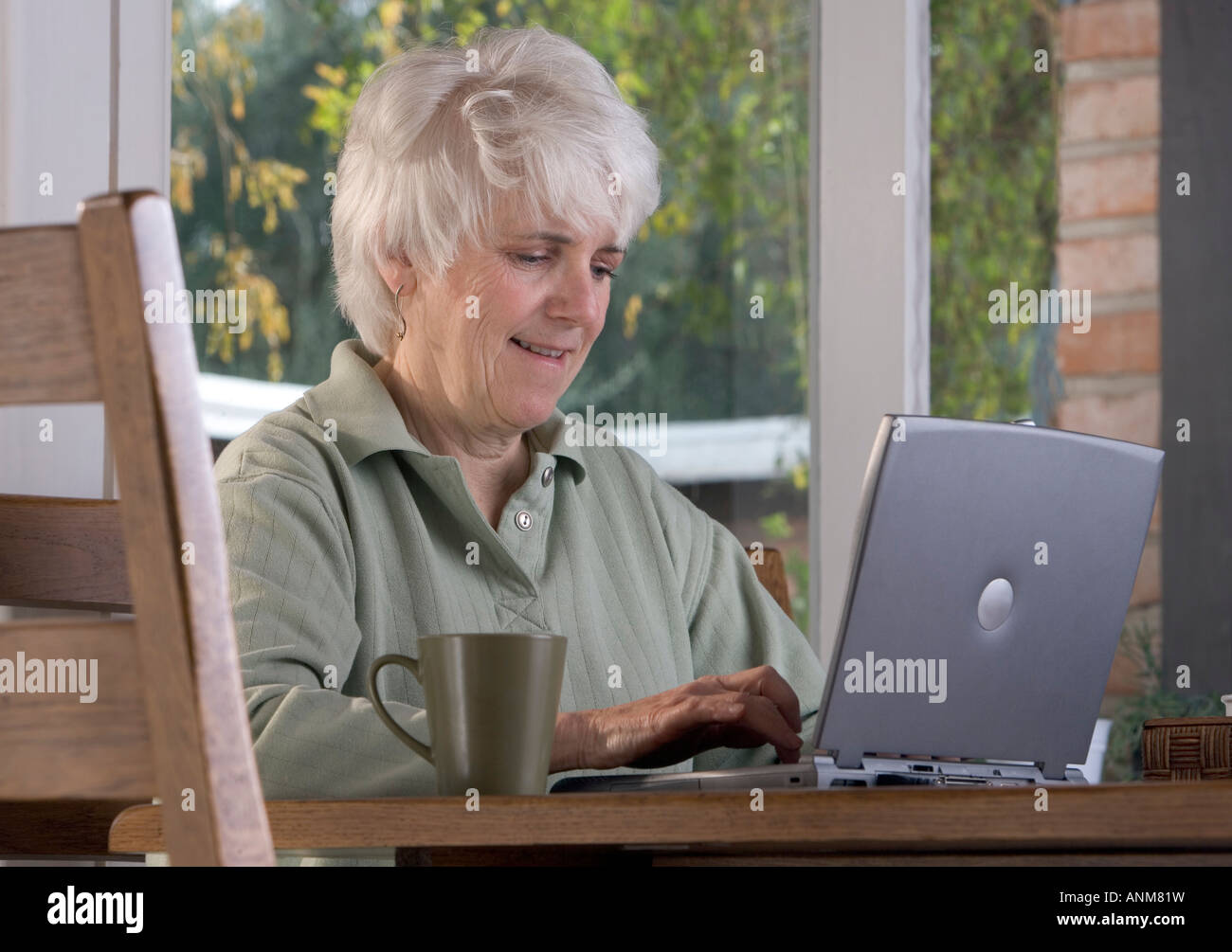 Senior donna funziona su un computer portatile a casa Foto Stock