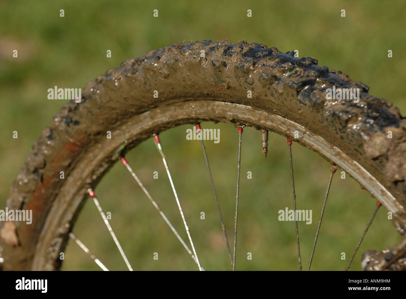 Una mountain bike pneumatico è pieno di fango dopo un giro nei boschi Foto Stock