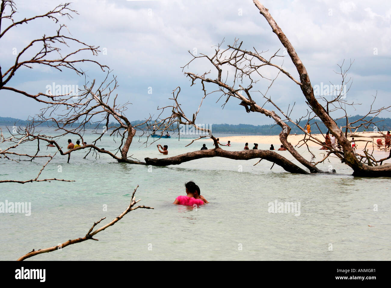 I turisti la balneazione in boa Jolly beach Andaman cosparso di rami secchi di alberi caduti Foto Stock