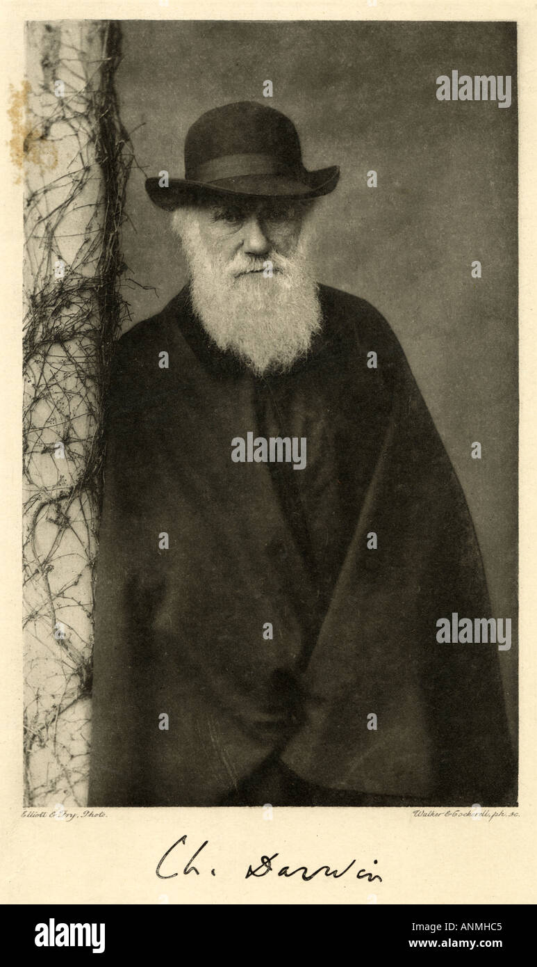 Charles Darwin colonna Foto Stock