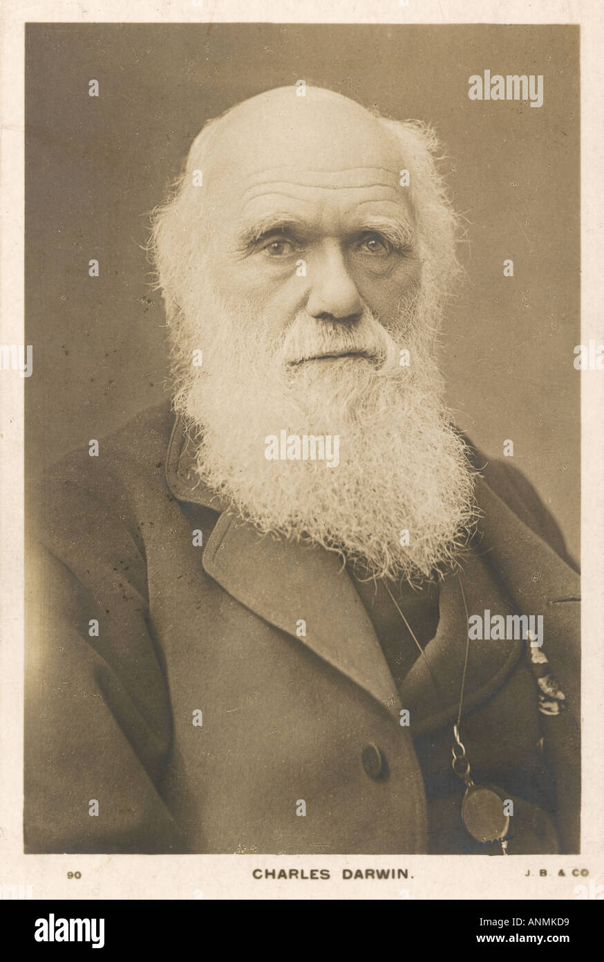 Charles Darwin foto Foto Stock