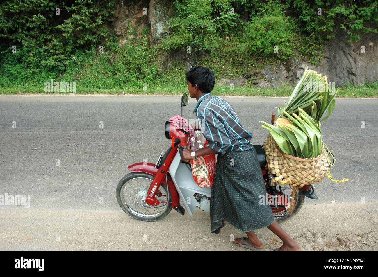 L'uomo vendita di frutti di palma da strada in Kerala, nell India meridionale Foto Stock