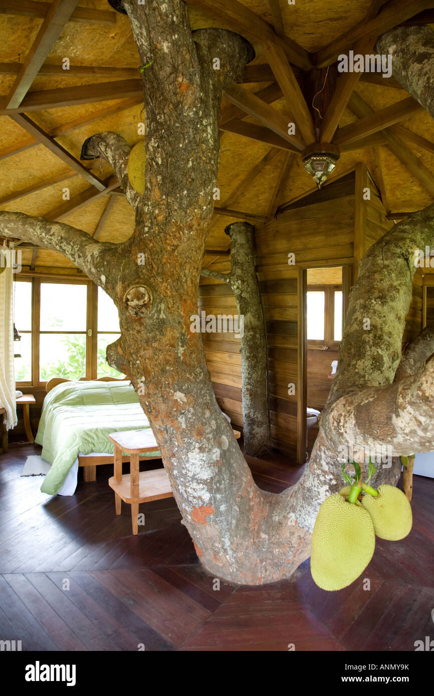 Dentro la camera di Lendas do Capao, treehouse una camera di albergo nei pressi di Capao, Parque Nacional Chapada Diamantina, Bahia, Brasile Foto Stock