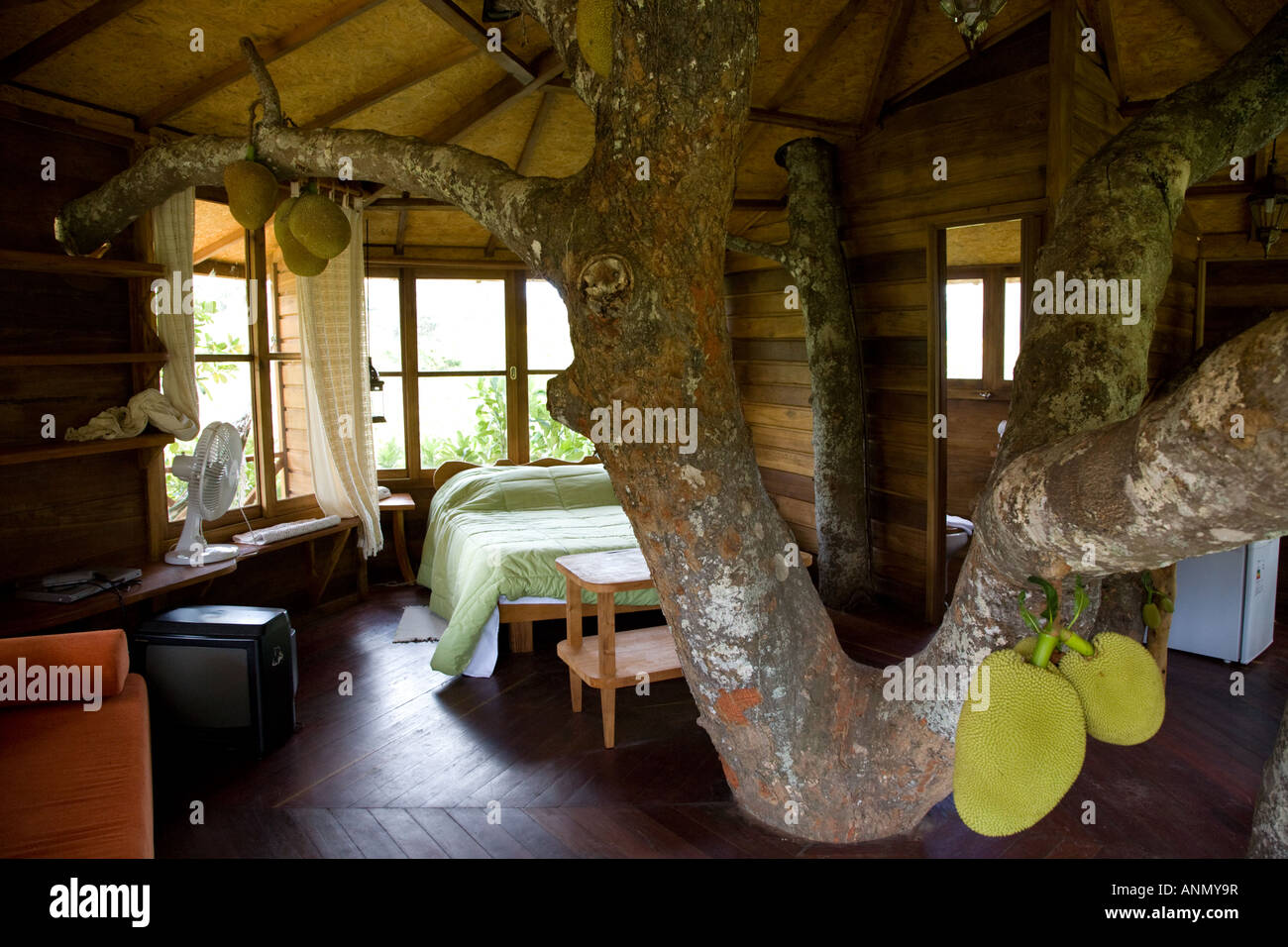 Treehouse camera da letto e soggiorno, Capao, Parque Nacional da Chapada Diamantina, Bahia, Brasile Foto Stock