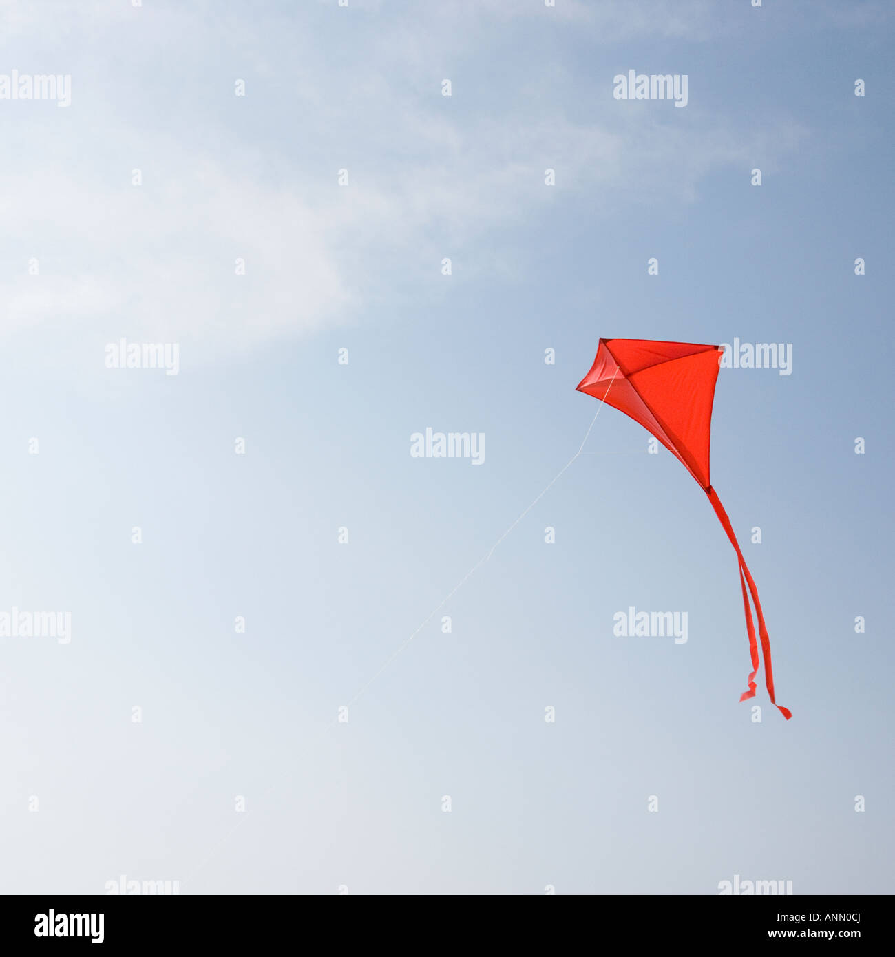 Kite volare in aria Foto Stock