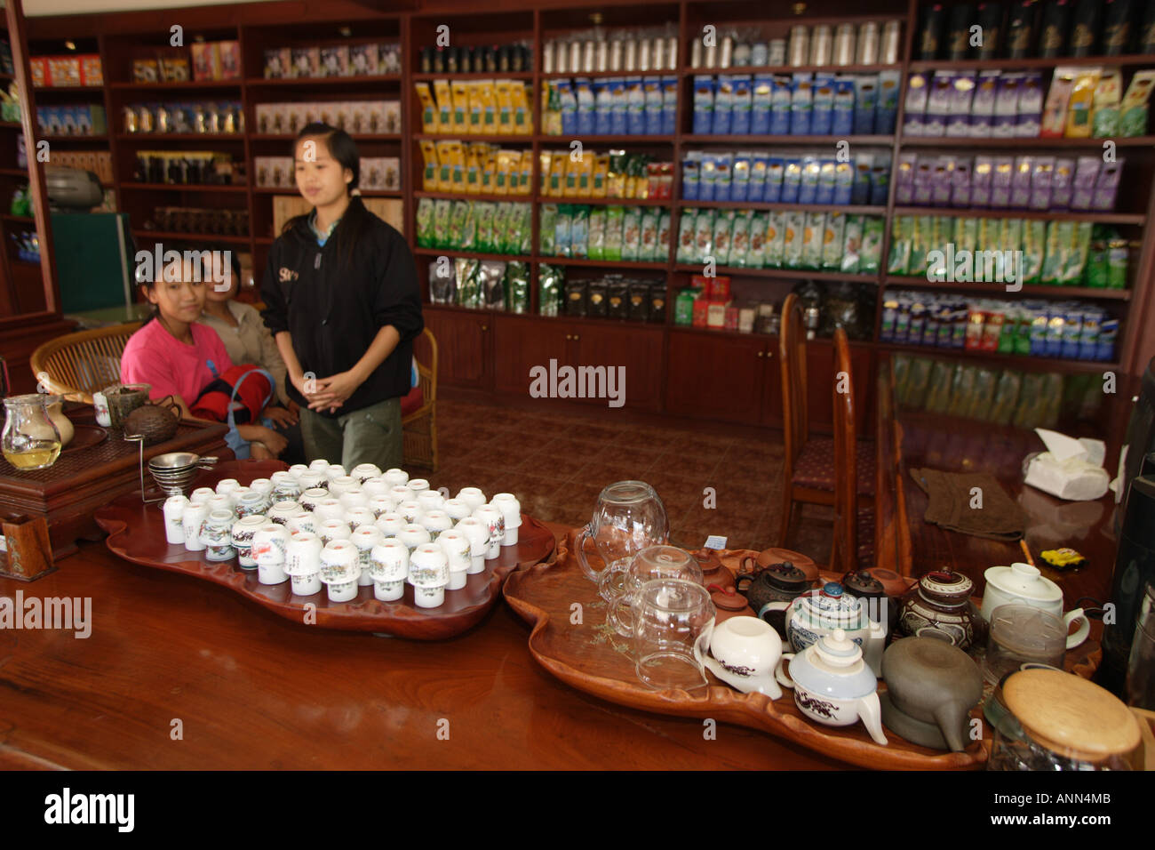 Tazze e teiere pronto per l'uso come le ragazze adolescenti sono pronti per i loro clienti in una degustazione di tè shop in Mae Salong Foto Stock