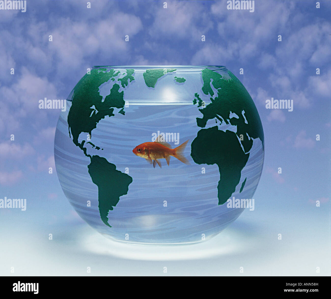 Un pesciolino di acqua dolce in una ciotola di purezza, di pulizia e le minacce di inquinamento Foto Stock