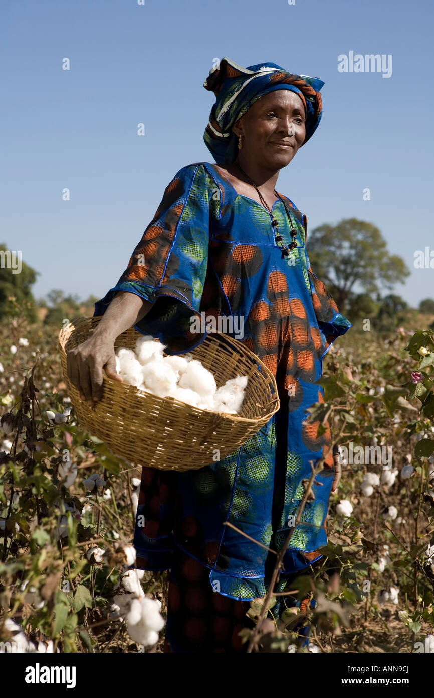 Bintou Dembele coltivatore di cotone di Djidian Mali Foto Stock