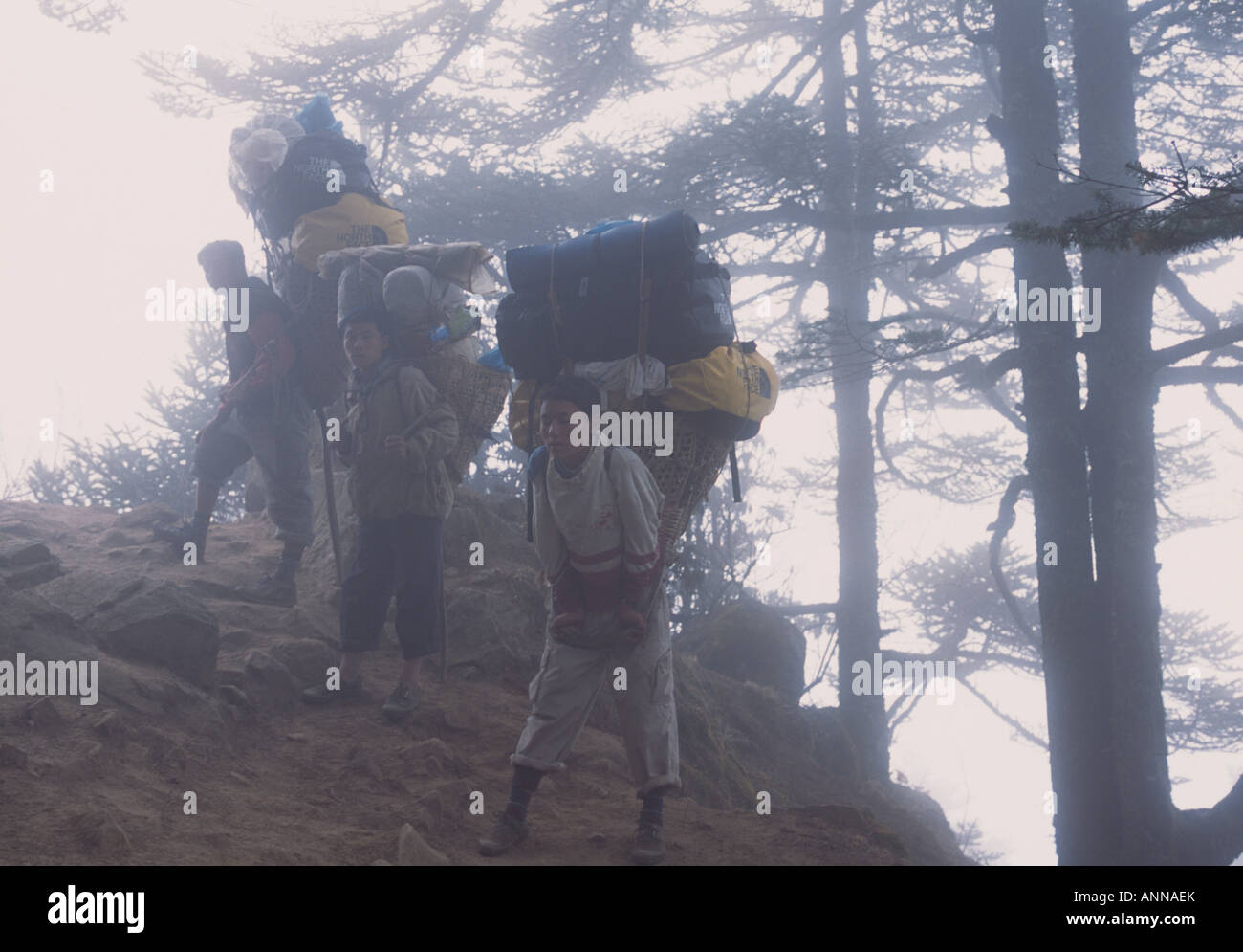 Gli Sherpa con cesti nella nebbia, Nepal Foto Stock