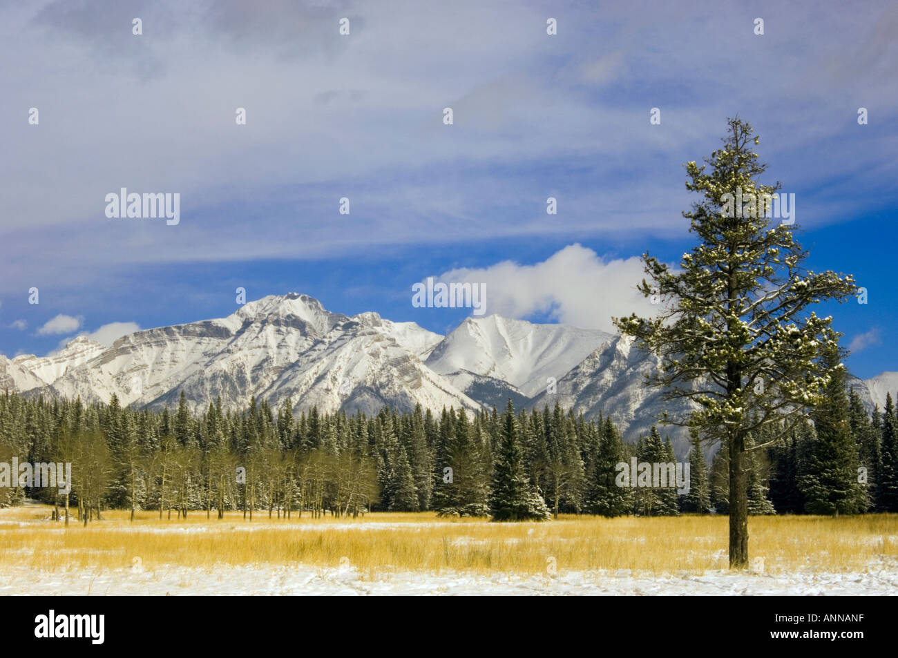 La cascata dei prati con la neve fresca, il Parco Nazionale di Banff- Lago Minnewonka Rd, Alberta, Canada Foto Stock