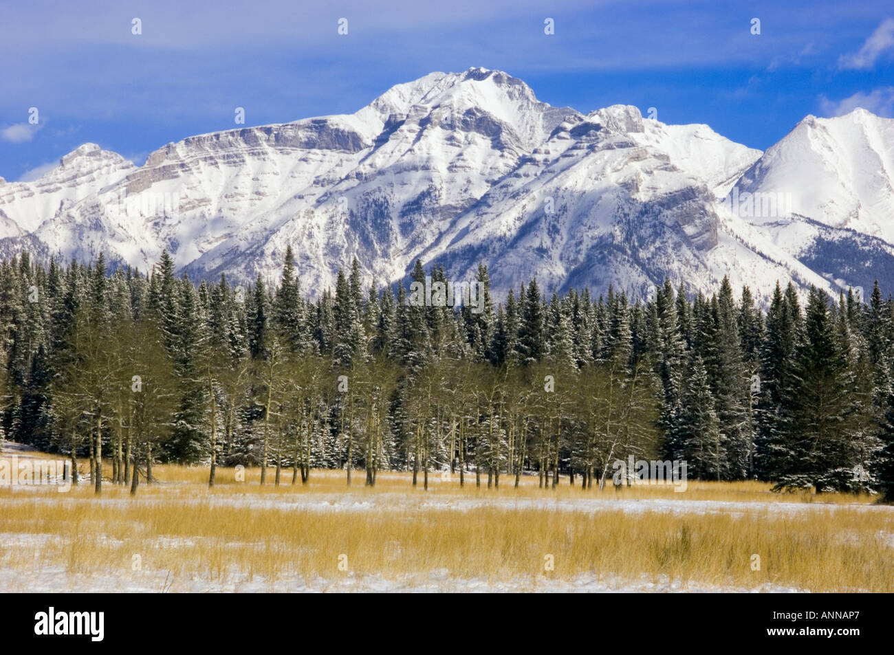 La cascata dei prati con la neve fresca, il Parco Nazionale di Banff- Lago Minnewonka Rd, Alberta, Canada Foto Stock