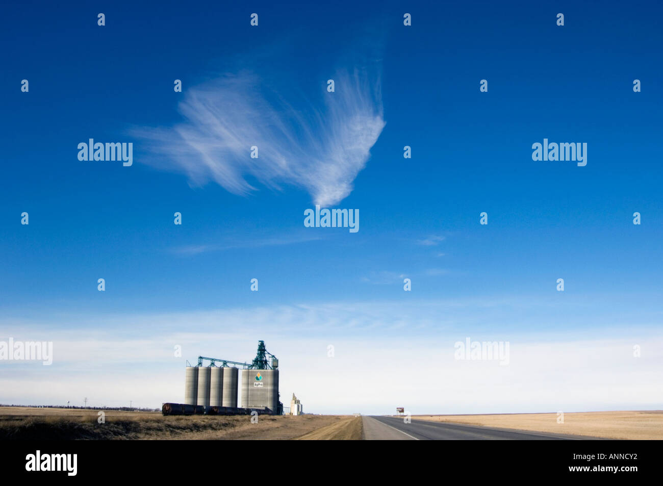 Throughput elevato ascensore, Vulcan, Alberta, Canada Foto Stock