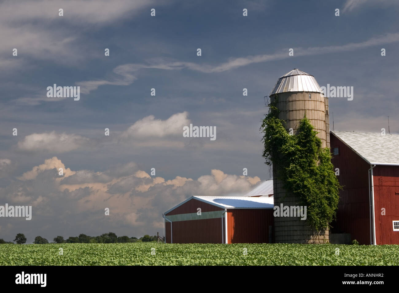 Illinois Farm Foto Stock